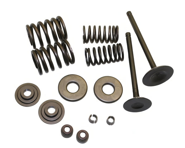 Linhai VOG 260 Valve Rebuild Kit